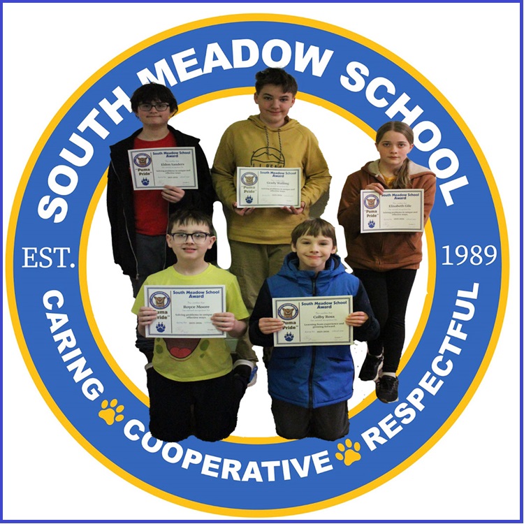 Creative Problem Solver Award